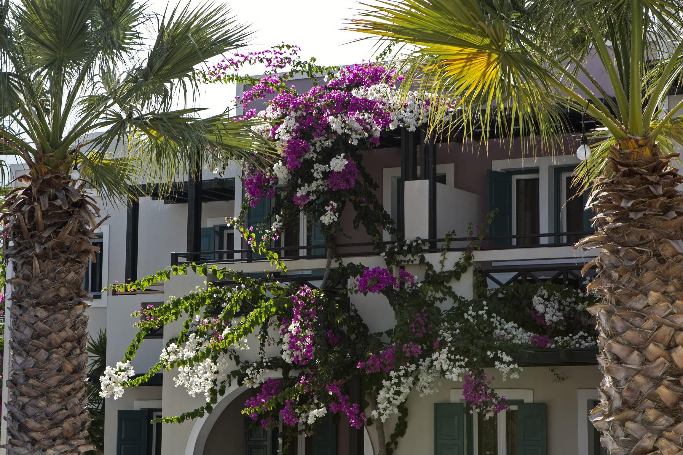 Rose Bay Hotel Камари Экстерьер фото